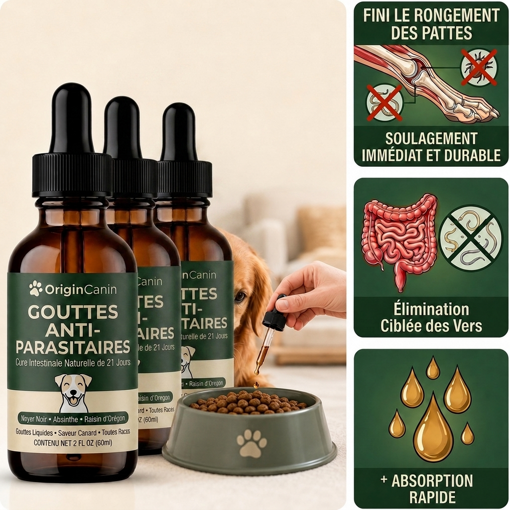 Offre lot de 3 - Gouttes anti-parasites internes pour chiens
