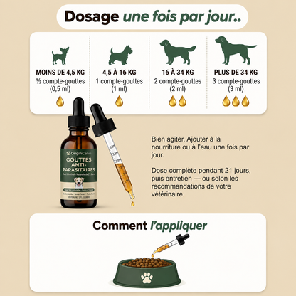 Gouttes anti-parasites internes pour chien