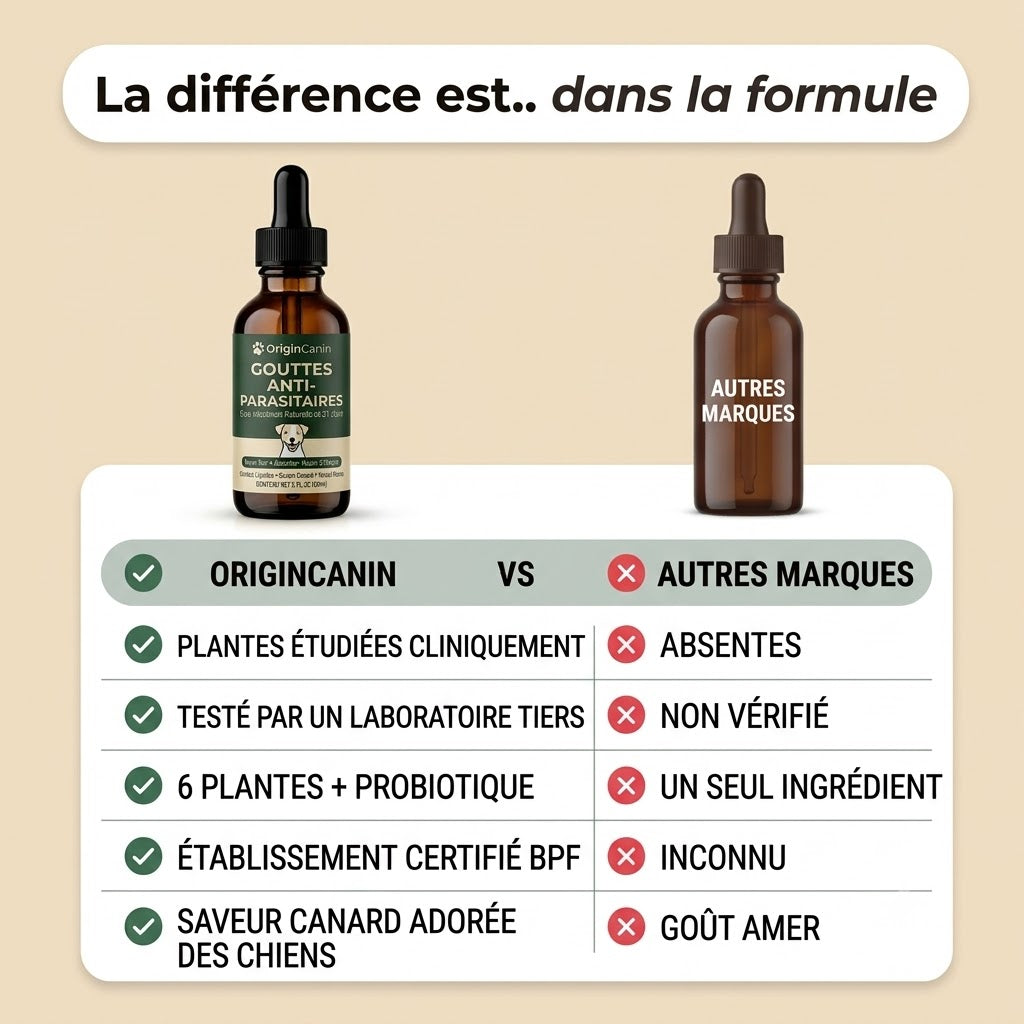 Gouttes anti-parasites internes pour chien