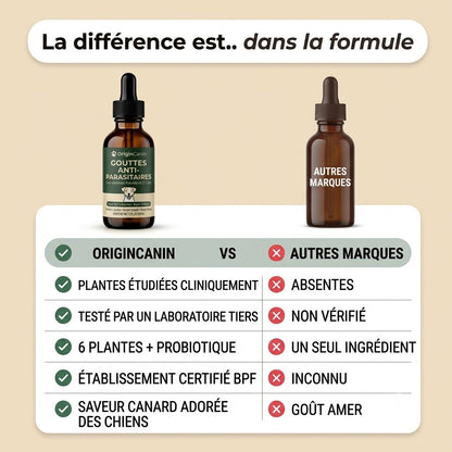 Gouttes anti-parasites internes pour chien