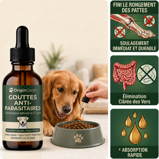 Gouttes anti-parasites internes pour chien
