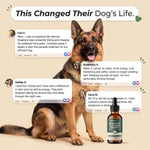 Gouttes anti-parasites internes pour chien