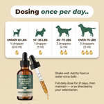Gouttes anti-parasites internes pour chien