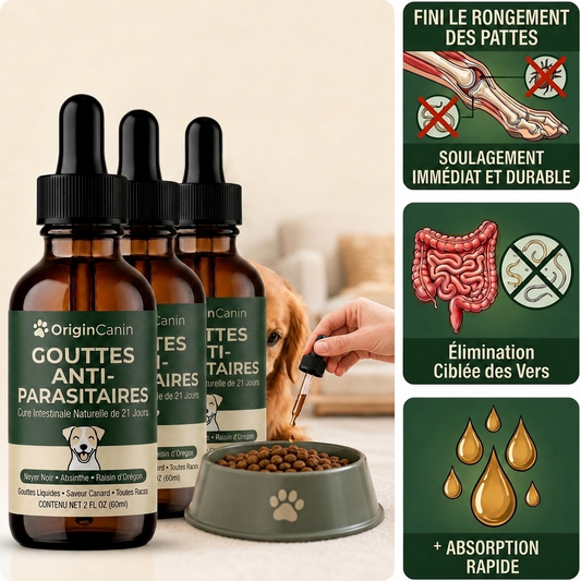Offre lot de 3 - Gouttes anti-parasites internes pour chiens
