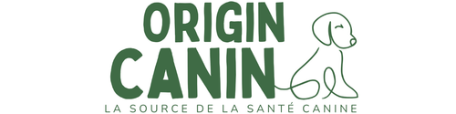 Origin Store 