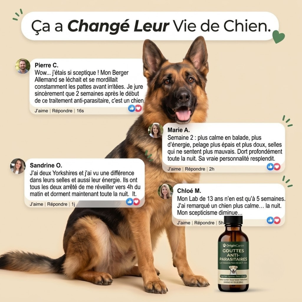 Gouttes anti-parasites internes pour chien