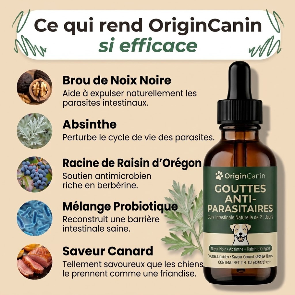 Gouttes anti-parasites internes pour chien