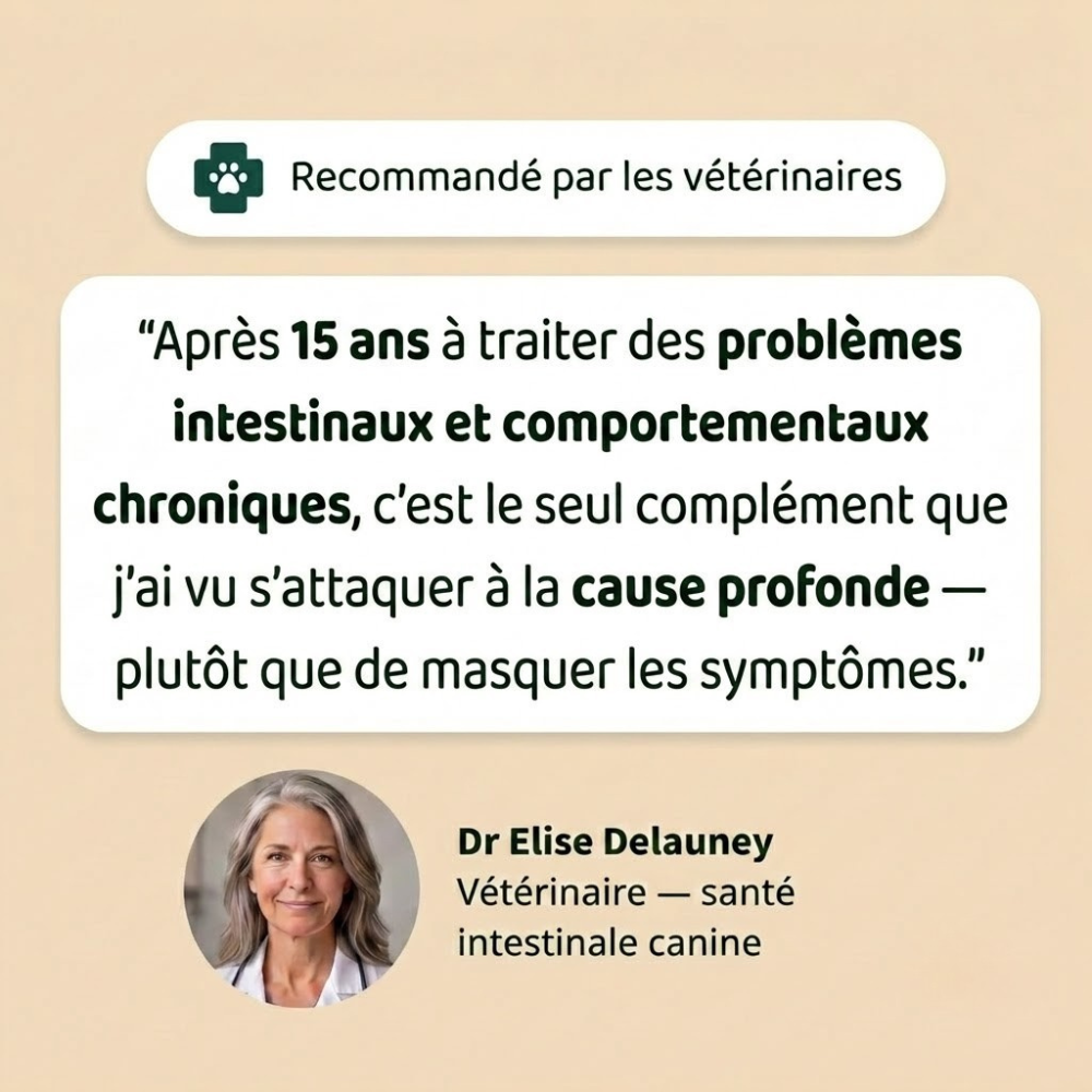 Gouttes anti-parasites internes pour chien