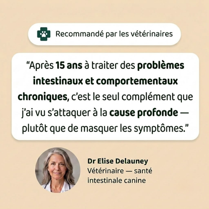 Gouttes anti-parasites internes pour chien